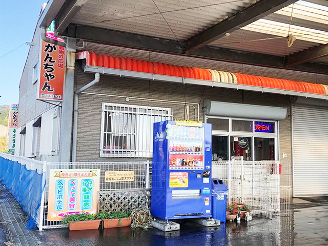 店舗